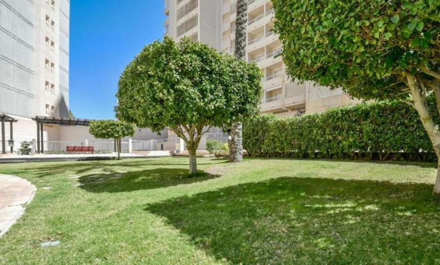 Homeincalpe Apolo XVII 1-14-41 Экстерьер фото